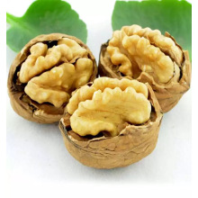 Chinese walnut in shell price